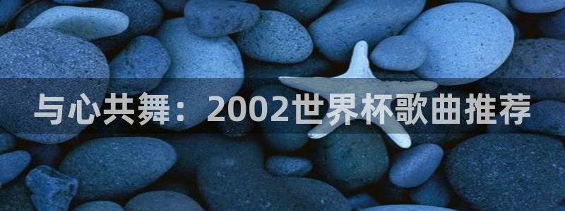 世界杯2026赛程表：与心共舞：2002世界杯歌曲推荐