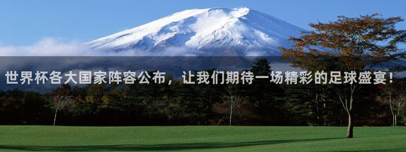 英足总杯直播：世界杯各大国家阵容公布，让我们期待一场精彩的足球盛宴！