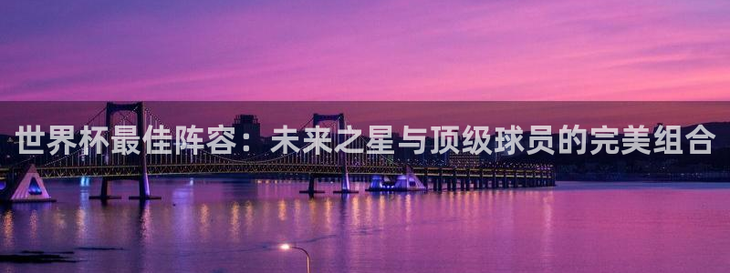 看世界杯：世界杯最佳阵容：未来之星与顶级球员的完美组合