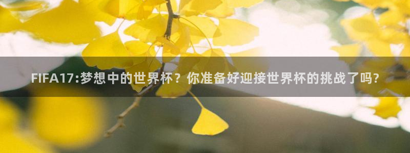世界杯决赛圈球队：FIFA17:梦想中的世界杯？你准备好迎接世界杯的挑战了吗?