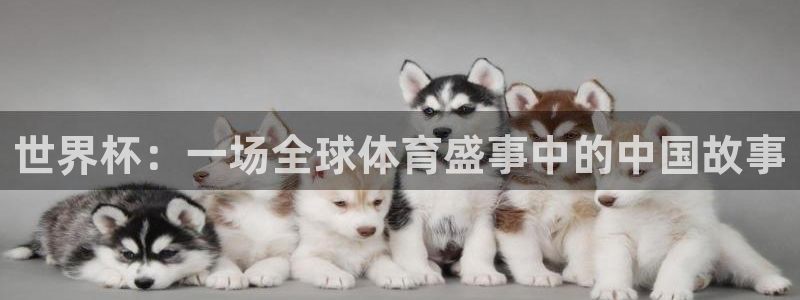 世界杯直播高清：世界杯：一场全球体育盛事中的中国故事