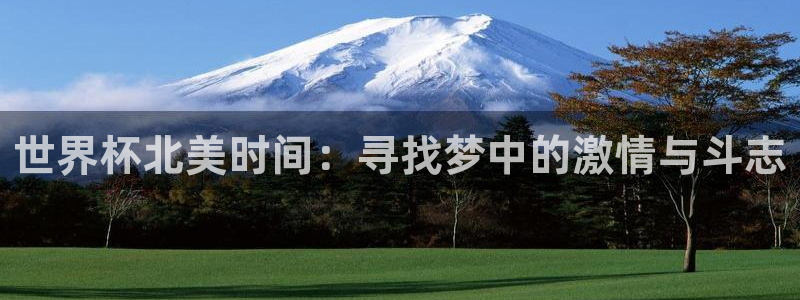 世界杯对阵图2026：世界杯北美时间：寻找梦中的激情与斗志