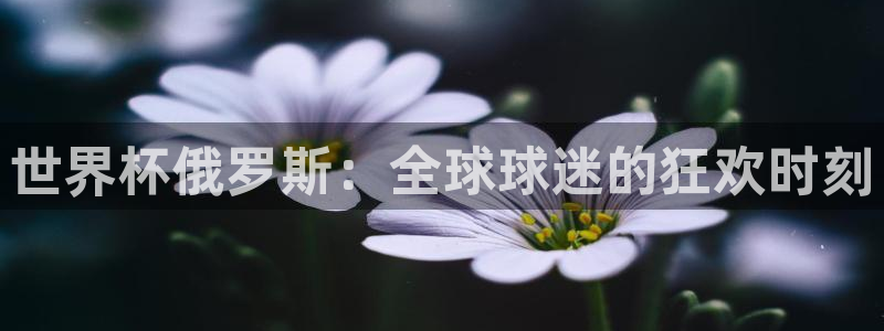 葡萄牙世界杯赛程：世界杯俄罗斯：全球球迷的狂欢时刻