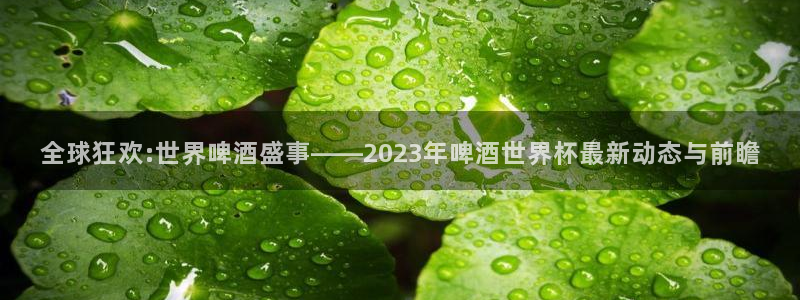 世预赛欧洲赛程表：全球狂欢:世界啤酒盛事——2023年啤酒世界杯最新动态与前瞻