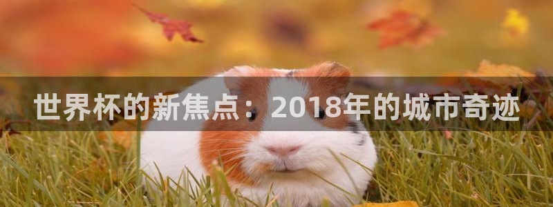 世界杯在线直播：世界杯的新焦点：2018年的城市奇迹