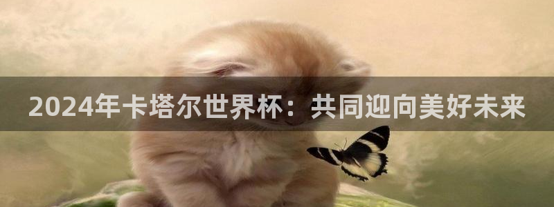 世预赛免费直播入口：2024年卡塔尔世界杯：共同迎向美好未来