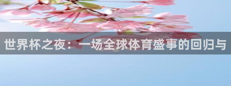 免费看足球直播比赛：世界杯之夜：一场全球体育盛事的回归与