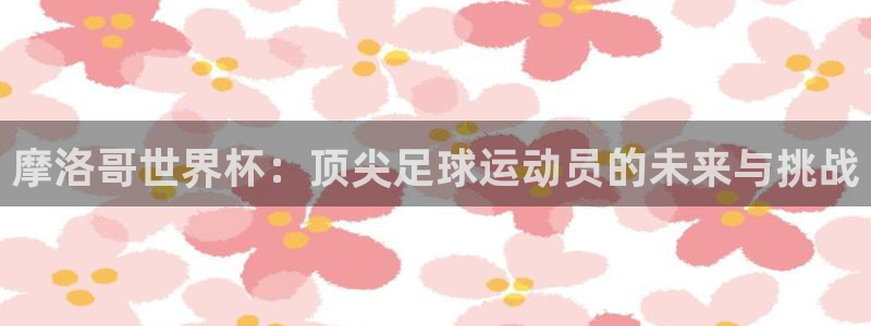世界杯球队：摩洛哥世界杯：顶尖足球运动员的未来与挑战