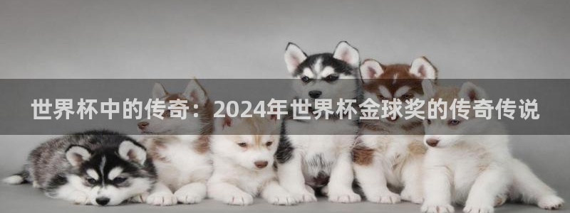 今年的世界杯：世界杯中的传奇：2024年世界杯金球奖的传奇传说