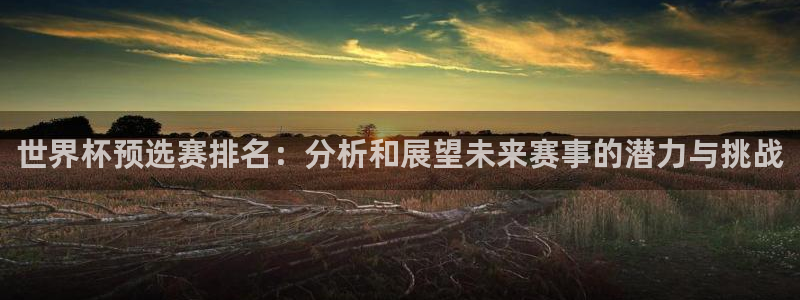 世界杯欧洲区世预赛赛程：世界杯预选赛排名：分析和展望未来赛事的潜力与挑战