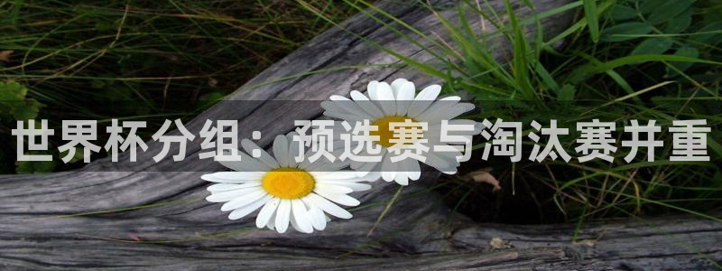 世界杯预选赛赛程：世界杯分组：预选赛与淘汰赛并重