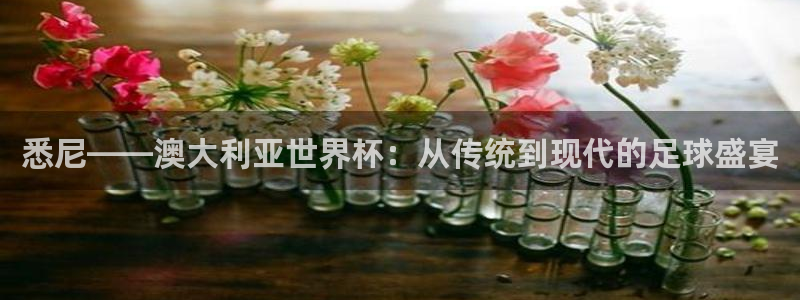 2026世界杯官网入口：悉尼——澳大利亚世界杯：从传统到现代的足球盛宴