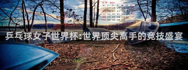 世界杯2026赛制：乒乓球女子世界杯:世界顶尖高手的竞技盛宴