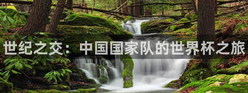 世界杯直播高清：世纪之交：中国国家队的世界杯之旅