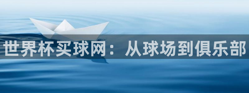 世界杯预选赛赛程：世界杯买球网：从球场到俱乐部